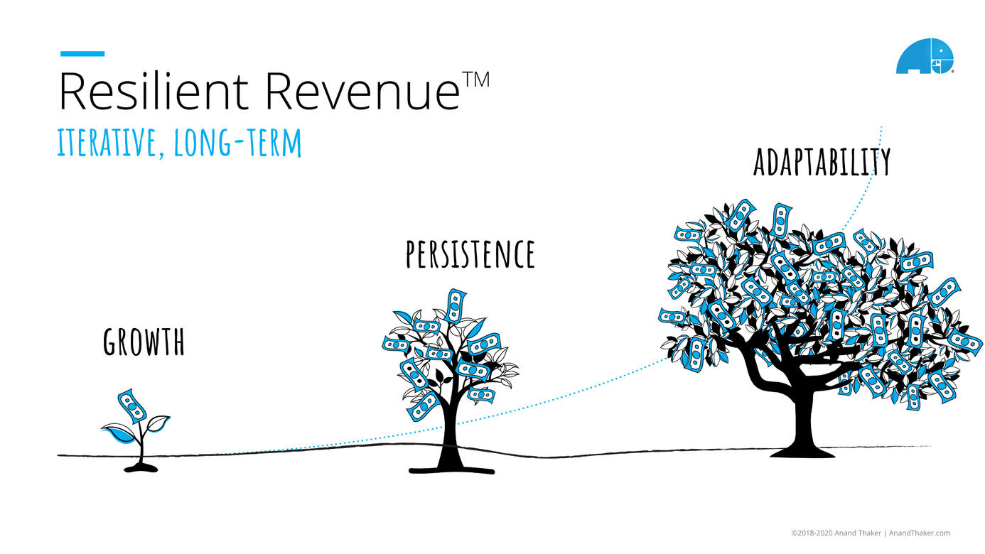 Resilient Revenue™ is a framework (partly illustrated here) on the evolution and stages of a company's long-term strength. This has a direct correlation on valuation calculations and investment returns.